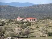 ΑΡΑΧΩΒΙΤΙΚΑ ΚΑΛΥΒΙΑ